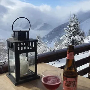 Montagnard Vue Splendide Alpe D Huez Les Passeaux Appartement